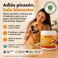 Wonder Paws Calma Total | Adiós picazón, hola bienestar